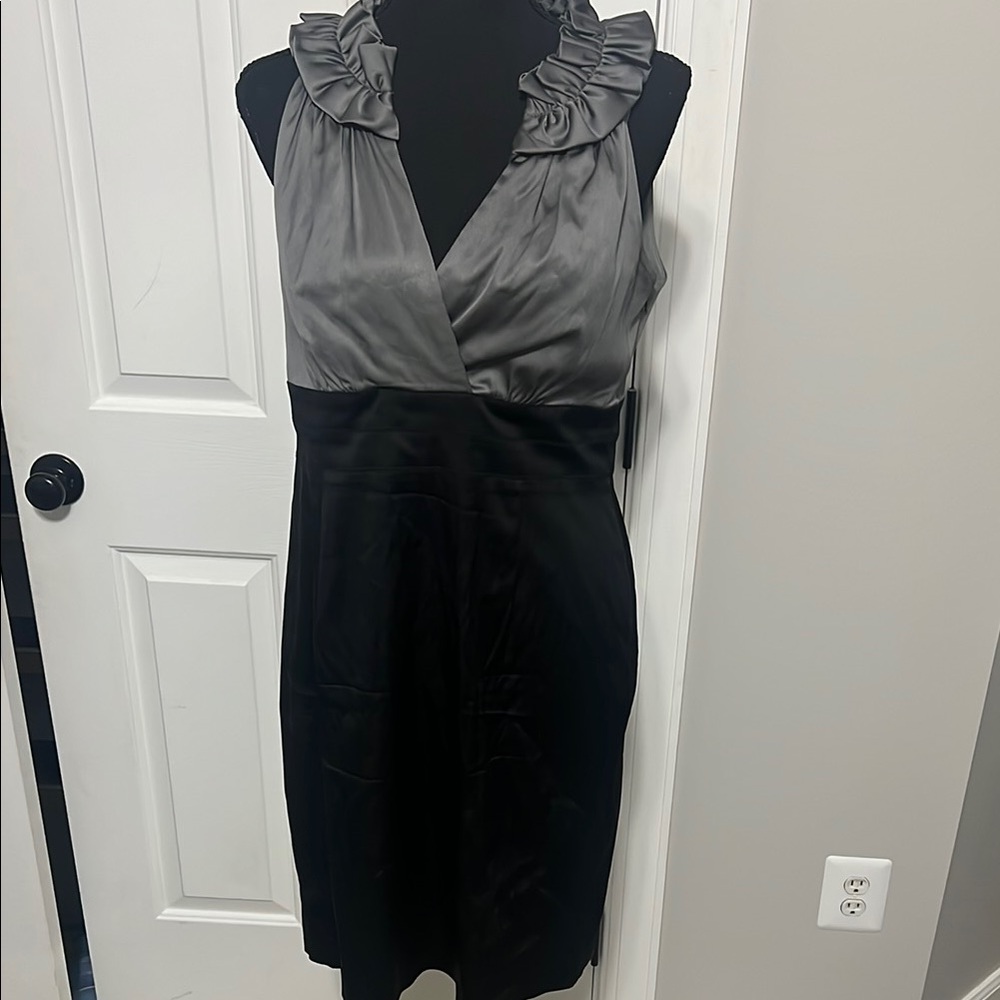 💃 Donna Ricco Silver and Black Sheath Midi Dress